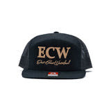 ECW LOGO 7 PANNEL